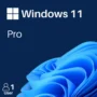 Windows 11 Pro - Licenta electronica