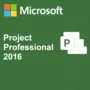 Project 2016 Professional - Licenta Digitala