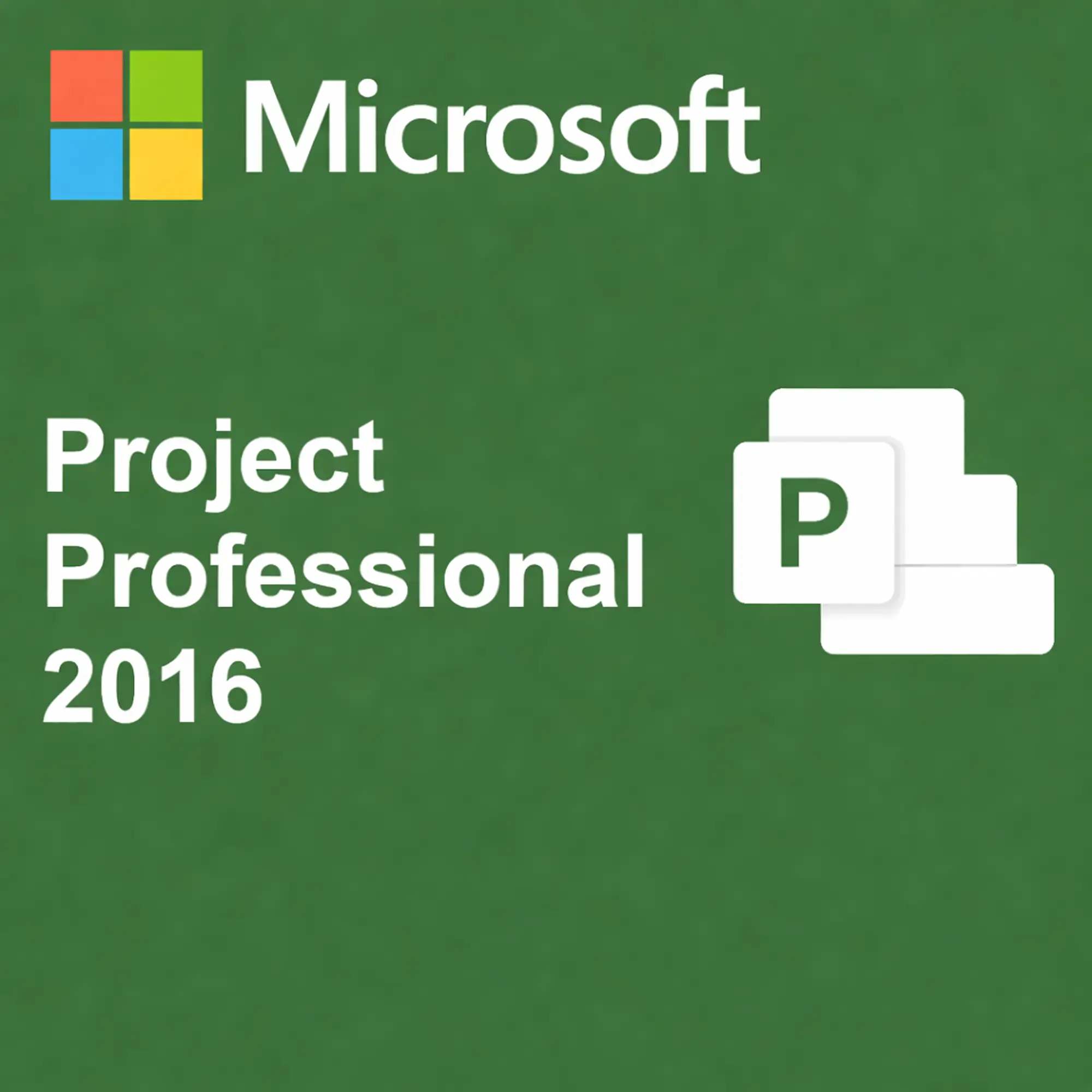 Project 2016 Professional - Licenta Digitala