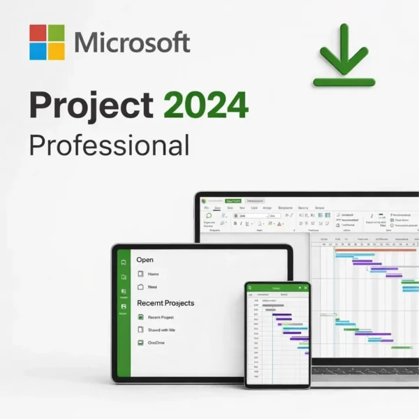 Project 2024 Professional - Licenta Transferabila - Licență originală ...