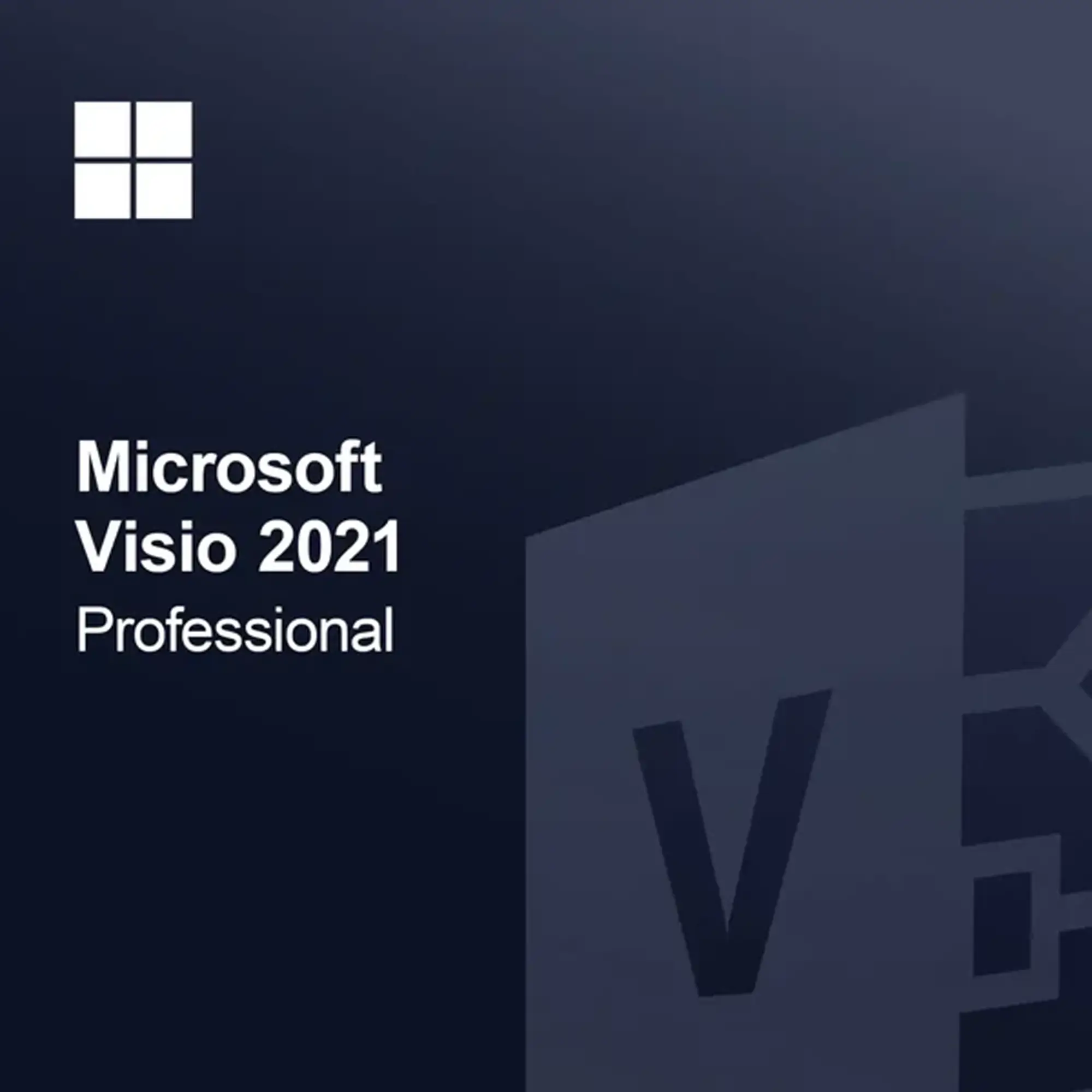 Visio 2021 Professional - Licenta Digitala