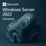 Windows Server 2022 Standard - Licenta Digitala